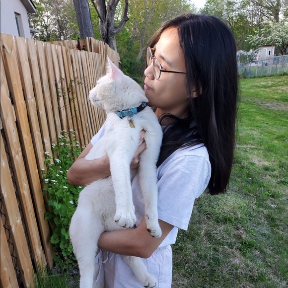 Meet your Posher, Ashuka - Picture 1 of 1